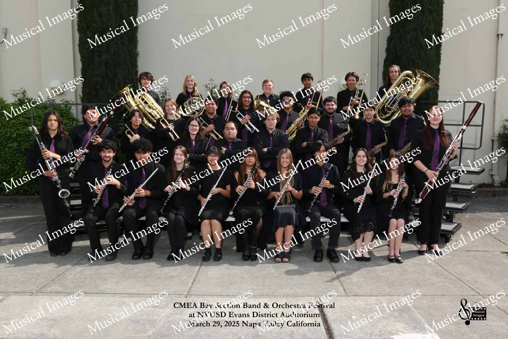 Musical Images